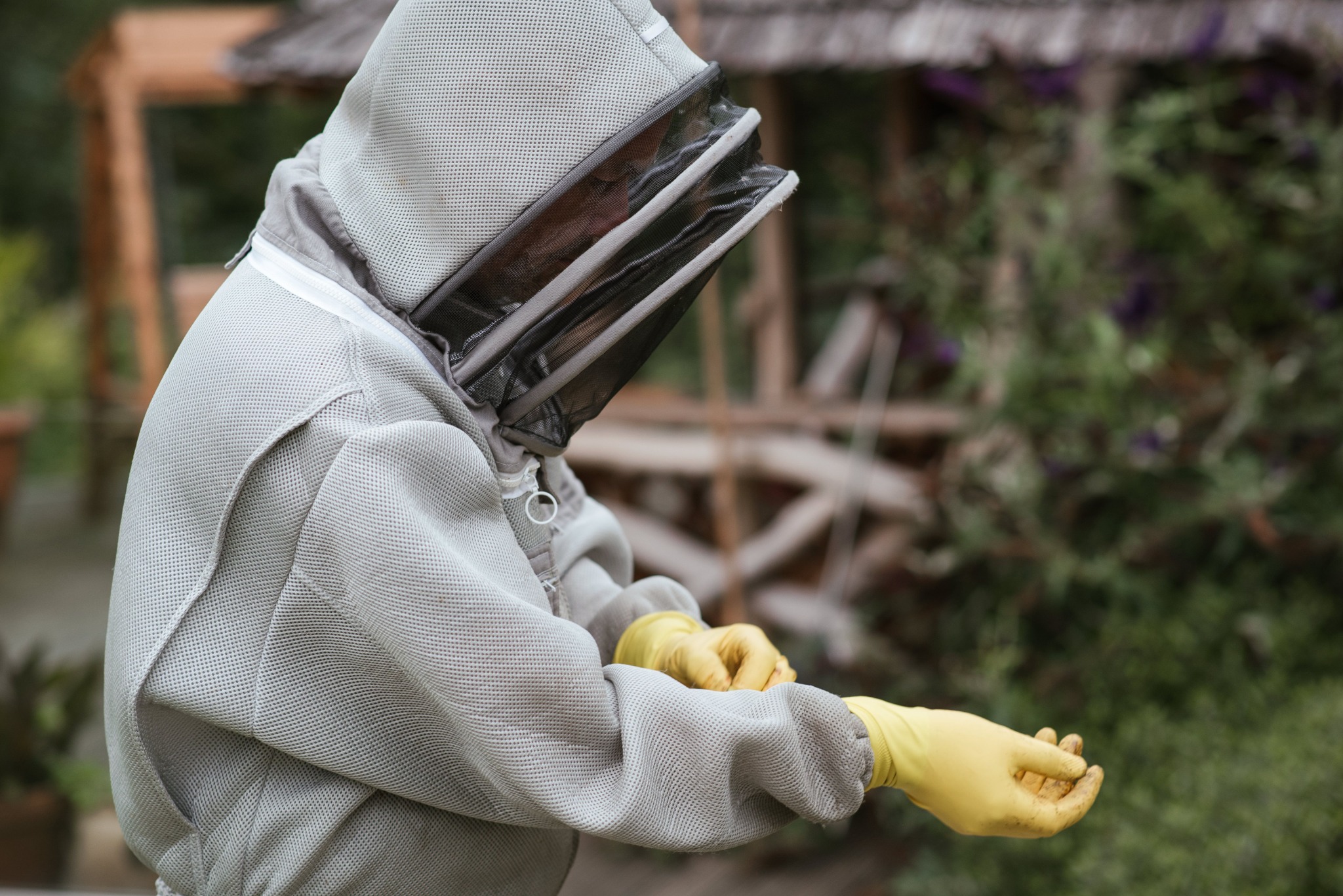 Beekeeper working with protective equipment at the apiary